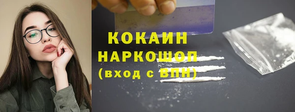 СК Туринск