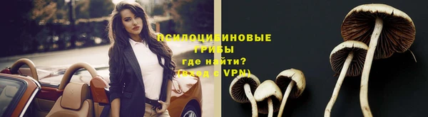 дживик Тында