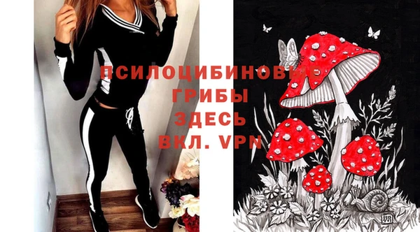не бодяженный Гусь-Хрустальный
