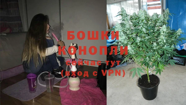 не бодяженный Гусь-Хрустальный