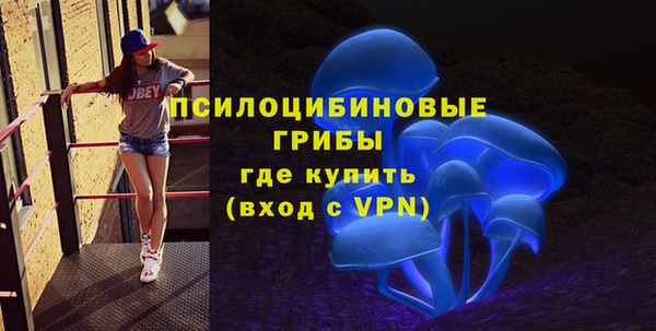 соль ск Гусиноозёрск