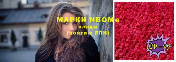 соль ск Гусиноозёрск