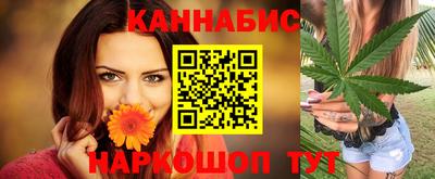 стафф Можга