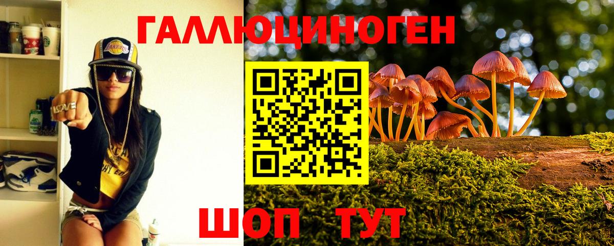 Бутурлиновка  Псилоцибиновые грибы Magic Shrooms  Вход с VPN 